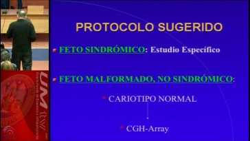 Vieja Citogenética versus Nueva Citogenética. Francisco Galán, Parte 2/2