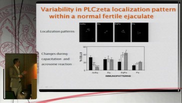 Calcium signallity and oocyte activation