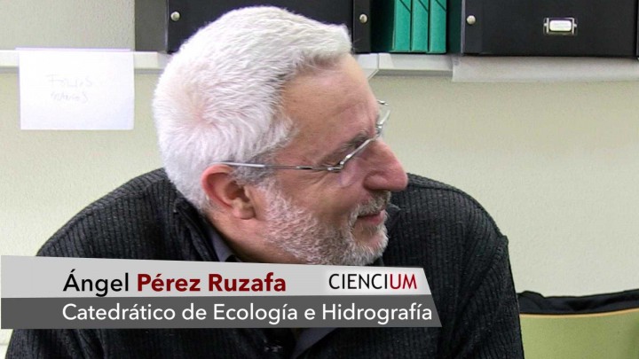 Ángel Pérez Ruzafa Responde 1