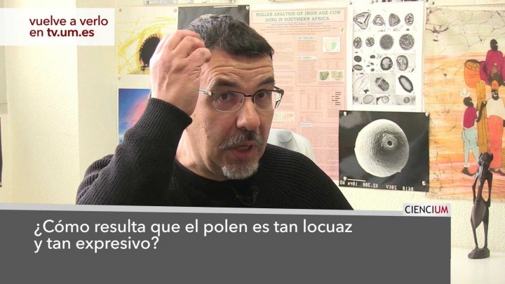 José Sebastián Carrión García Responde 2