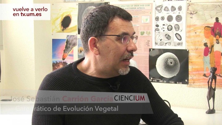 José Sebastián Carrión García Responde 5