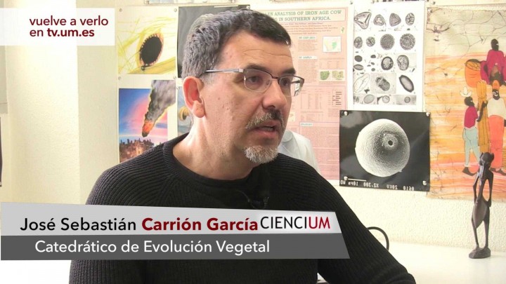 José Sebastián Carrión García Responde 7