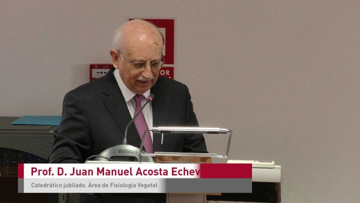 Homenaje - Prof. D. Manuel Acosta Echeverrías