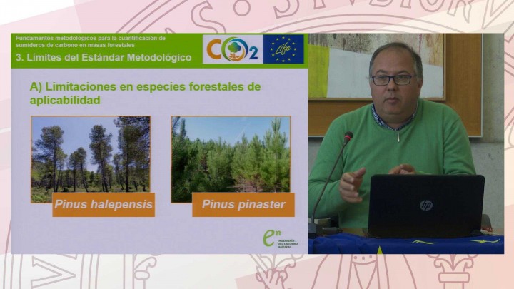 Mercados voluntarios y compensación de emisiones de carbono de las empresas: La gestión forestal com