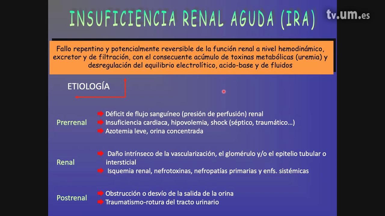 más Productivo morfina 1 - Insuficiencia Renal Aguda (IRA) - TV Universidad de Murcia