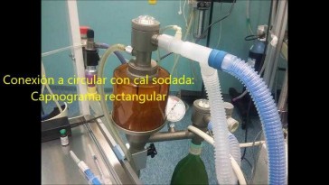 Anestesia General cánido orquidectomía