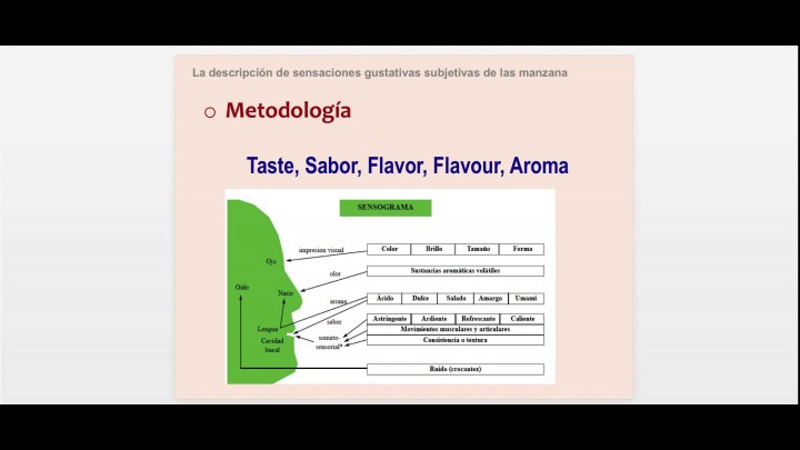 “Reaches the peak of flavor”: Estudio contrastivo de la descripción de sensaciones gustativas (...)