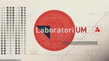 #LaboratoriUM 1