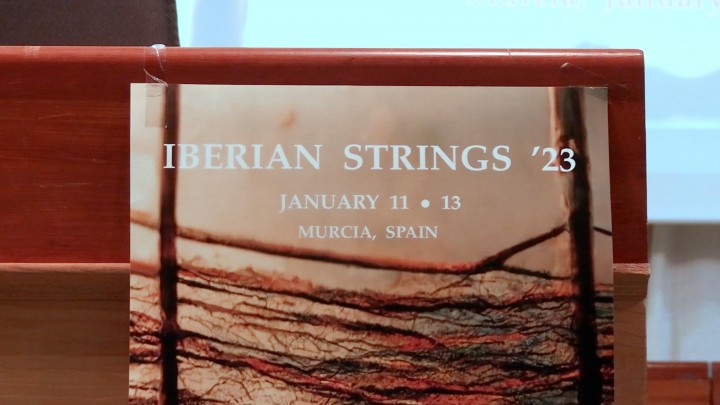 XV edición congreso Iberian Strings