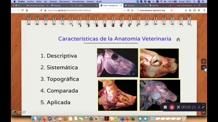 Tema 1: Concepto Anatomía Veterinaria