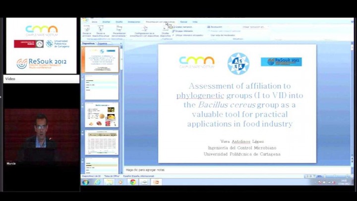 Assessment of affiliation to phylogenetic groups (I to VII) into the Bacillus cereus group as a valuable tool for practical applications in food indus