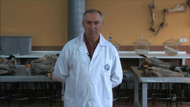 Anatomía Veterinaria: Videos de Aparato Locomotor
