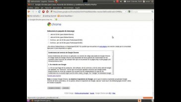 Navegador Web. Google Chrome