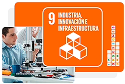 09 Industria, Innovación e Infraestructura